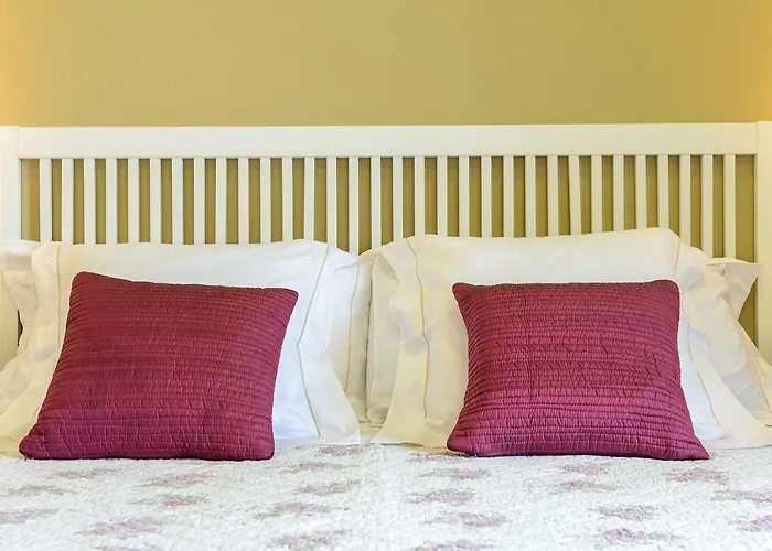 Apg Espais Rambla * Girona