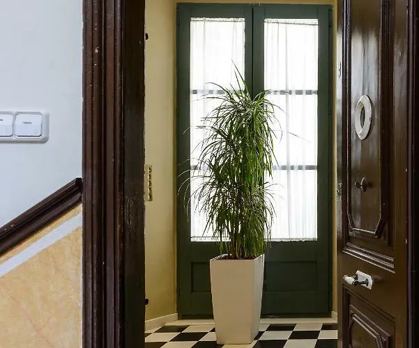 Apg Espais Rambla Girona