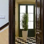 Apg Espais Rambla Жирона