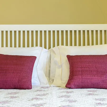 Apg Espais Rambla * Girona