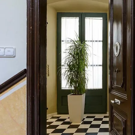 Apg Espais Rambla Girona